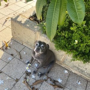 Meet your Posher, Clare